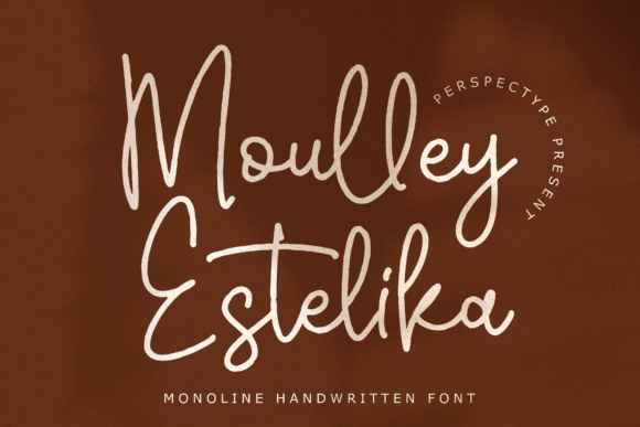 How Moulley Estelika Transformed Our Campaign Typography