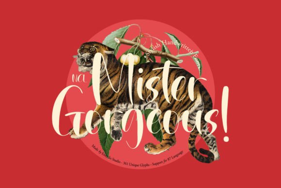 Mister Gorgeous: A Web Designer’s Review of This Modern Handwritten Font