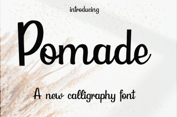 Pomade: A Modern Script Font for Editorial Design and Digital Publishing