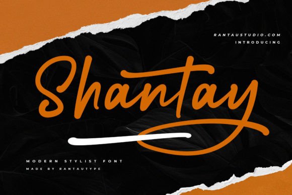Shantay: A Bold Script Font That Elevates Branding with Personality